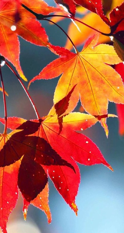 ⁉️ А что же говорит нам Нумерология про