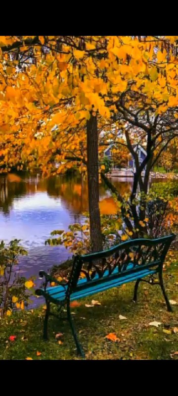 Захотелось поделиться мыслями про осень. Еду с работы