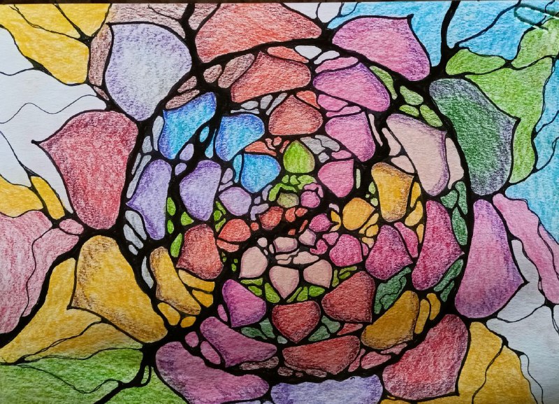 Продолжаю знакомить с природными алгоритмами. Сегодня 🪷 Н...