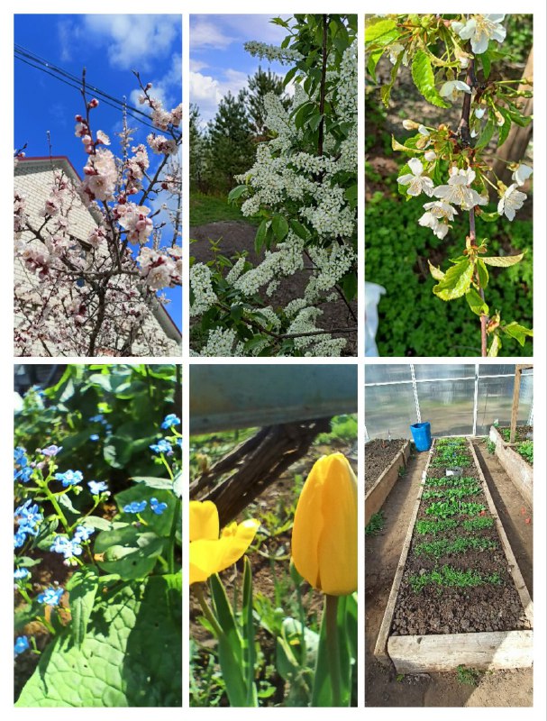 Приветствую дорогие друзья. Немного выпала из процесса ри...