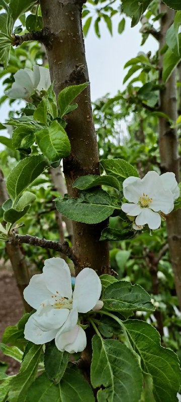 В жизни главное — счастье. А оно у