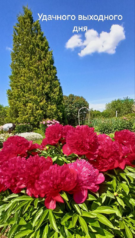 🌨️ ✨ 🌨️ ✨ 🌟 ✨ 🌨️ ✨