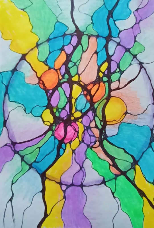 Мой удивительный мир и его ценности. 🌿 Моя